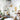 hamptons peel and stick wood wall and ceiling planks